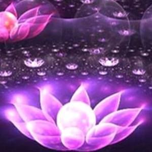 Meet your Posher, Betty